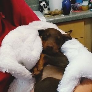 Meet your Posher, Heather